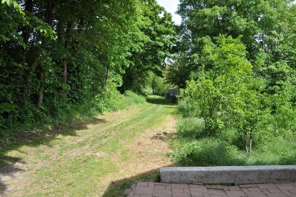 Ferienwohnung Kaestle Bad Bergzabern Eksteriør billede